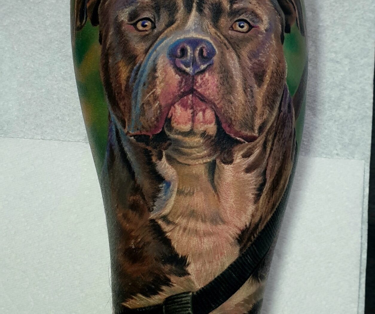 Animals tattoo by Hypnotic Art Tattoo Studio, Milton Keynes