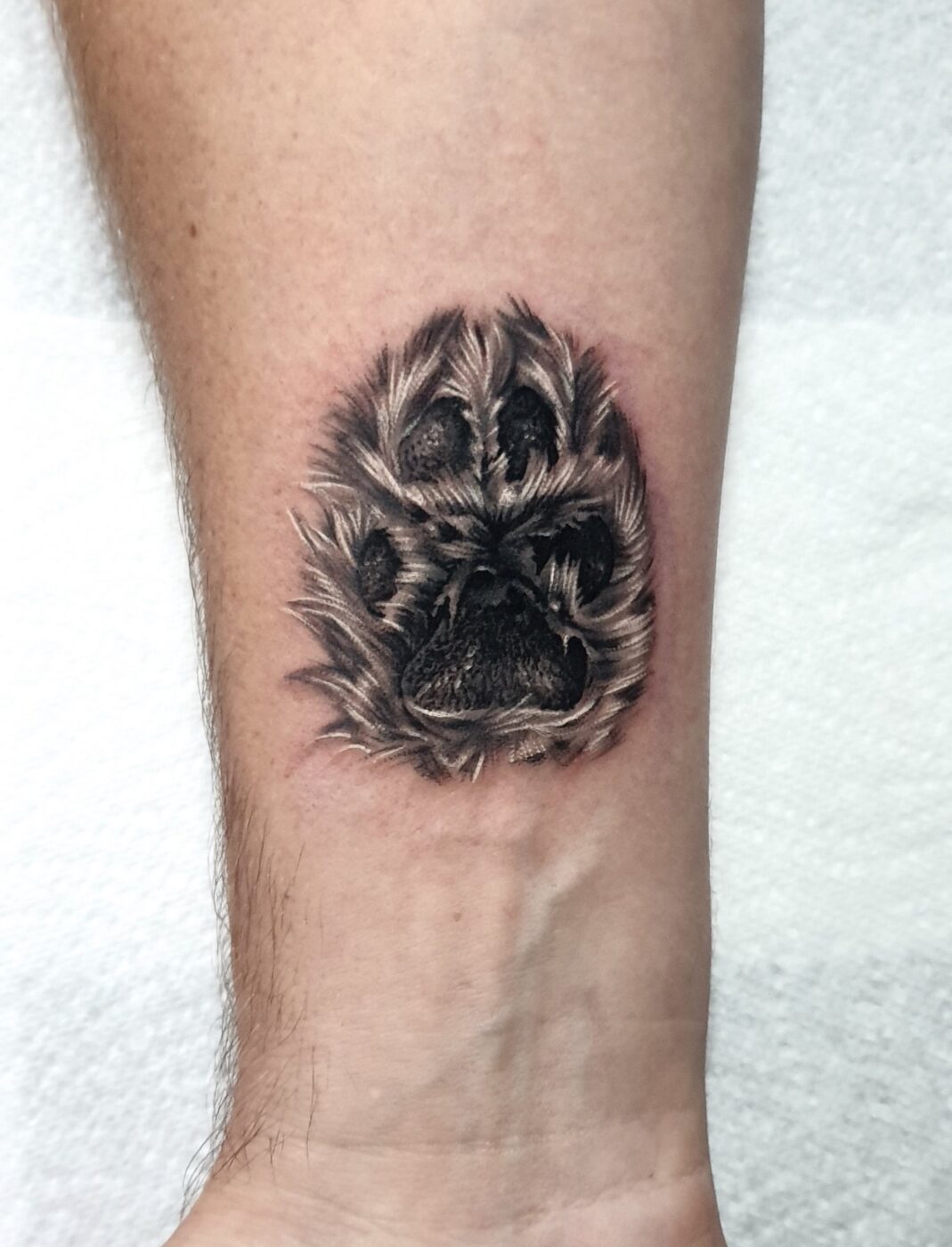 Animals tattoo by Hypnotic Art Tattoo Studio, Milton Keynes