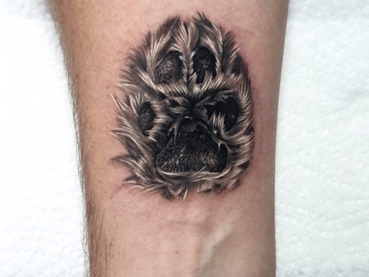 Animals tattoo by Hypnotic Art Tattoo Studio, Milton Keynes