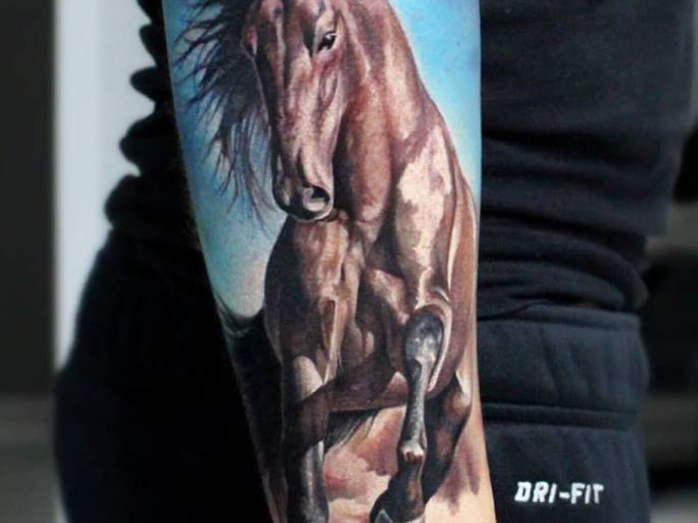 Animals tattoo by Hypnotic Art Tattoo Studio, Milton Keynes