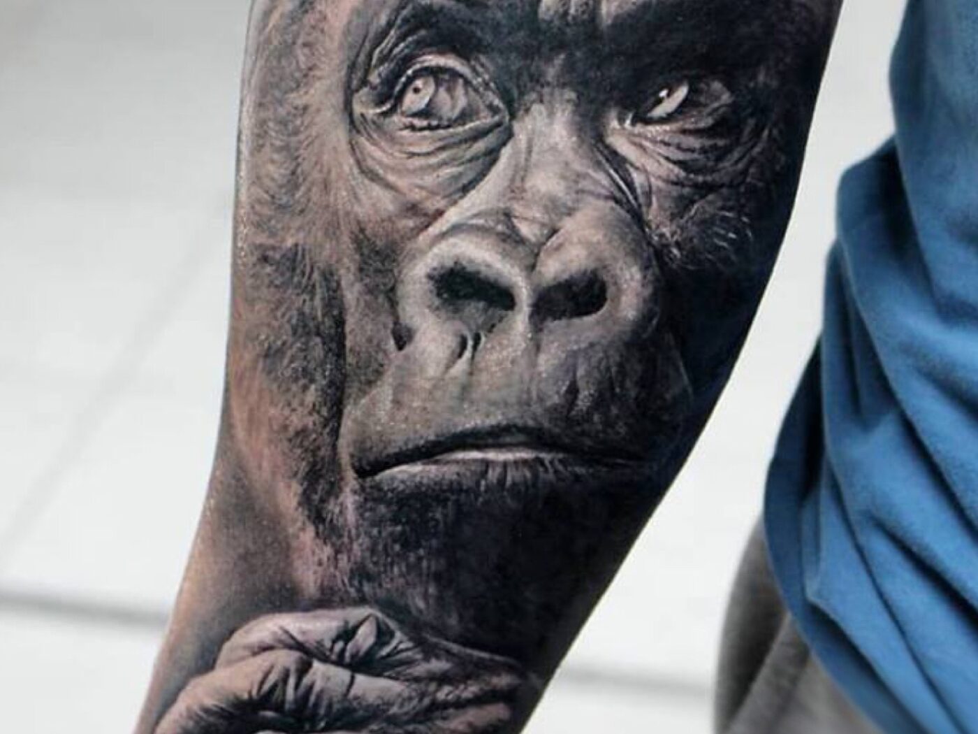 Animals tattoo by Hypnotic Art Tattoo Studio, Milton Keynes