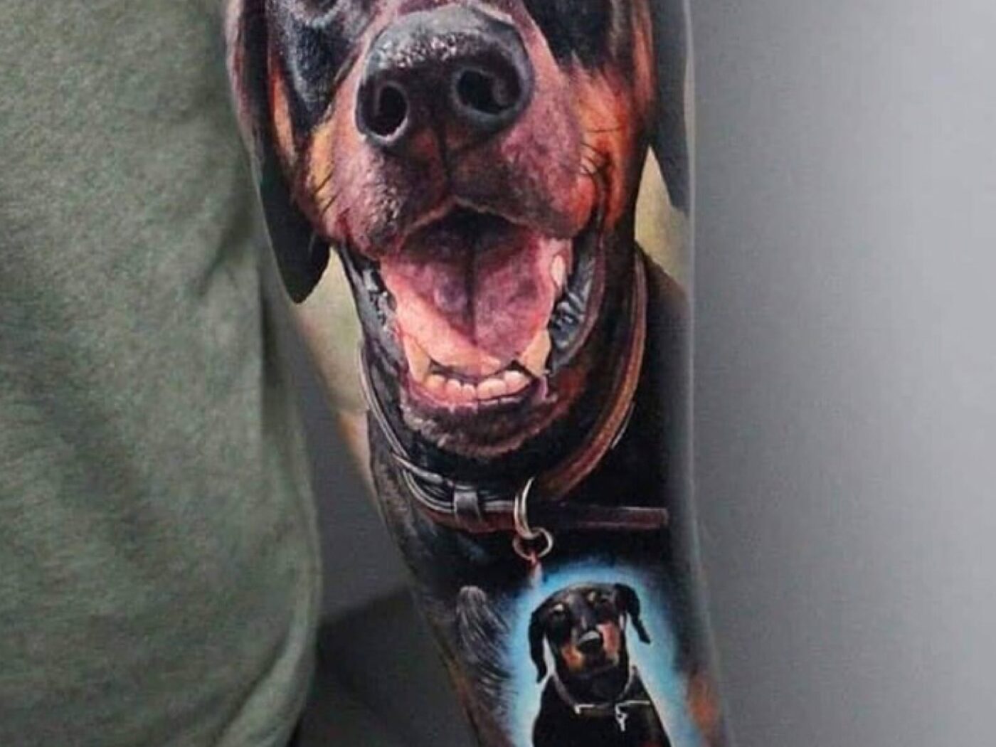 Animals tattoo by Hypnotic Art Tattoo Studio, Milton Keynes
