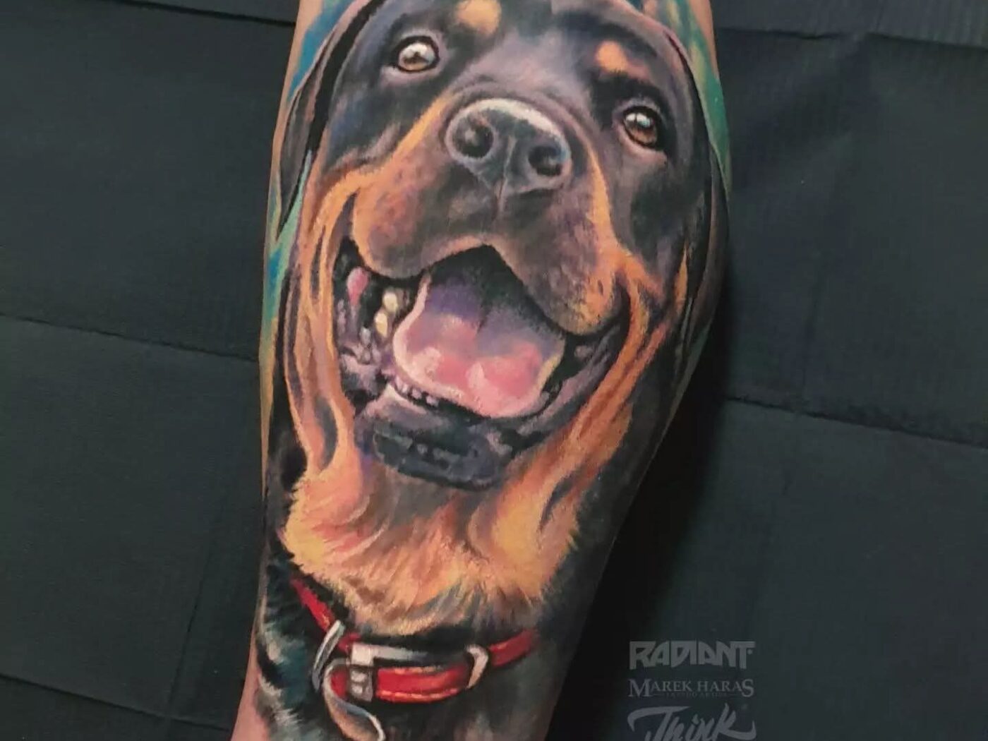 Animal tattoo by Hypnotic Art Tattoo Studio, Milton Keynes