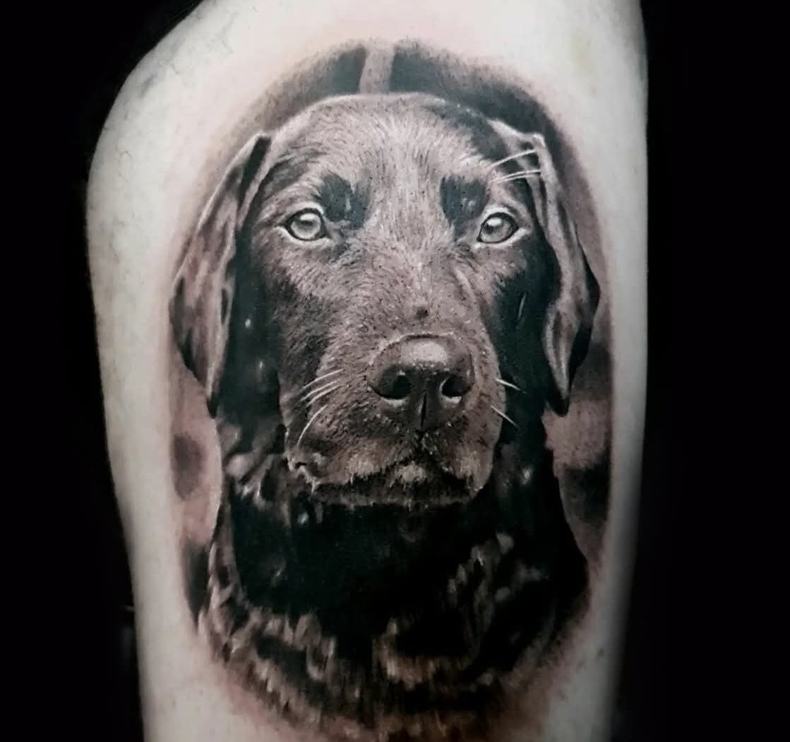 Animal tattoo by Hypnotic Art Tattoo Studio, Milton Keynes