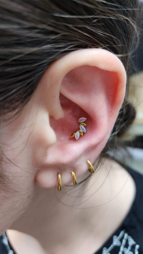 Conch with stacked lobe hoops piercing by Gabi at Hypnotic Art Tattoo Studio, Milton Keynes